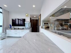 Symphony Suites (D27), Condominium #544976361